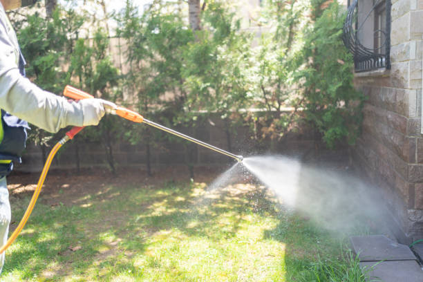 Best Pest Prevention Services  in Carlstadt, NJ